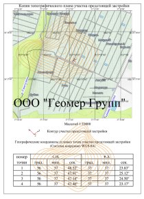 Копия топографического плана предстоящей застройки, г Талдом, СНТ Вымпел